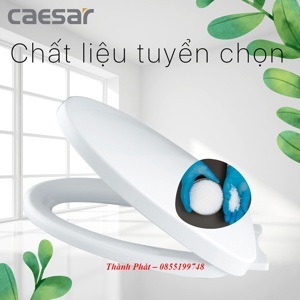 Nắp bồn cầu Caesar M256