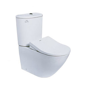 Nắp bồn cầu Toto TCW09SK1