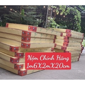 Nệm cao su non American 160x200x20cm