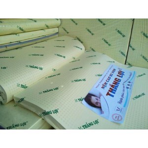 Nệm cao su Thắng Lợi 1mx2mx10cm
