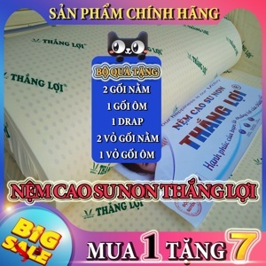 Nệm cao su Thắng Lợi 1mx2mx10cm