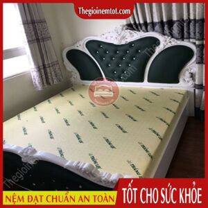 Nệm cao su Thắng Lợi 1mx2mx10cm