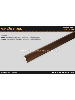 Nẹp cầu thang CT229