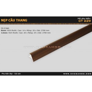 Nẹp cầu thang CT229