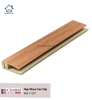 Nẹp cầu thang F227