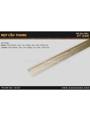 Nẹp nhựa cầu thang CT-228