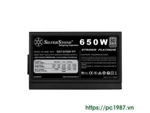 Nguồn - Power Supply SilverStone ST65F-ES230