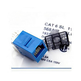 Nhân mạng Cat6 AMP