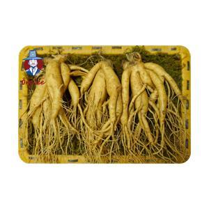Nhân Sâm Tươi Hàn Quốc 3 củ/kg