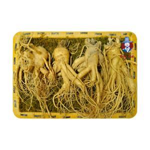 Nhân sâm Tươi Hàn Quốc 4 củ/kg
