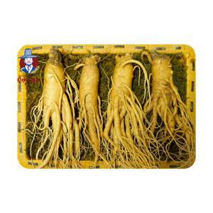 Nhân sâm Tươi Hàn Quốc 4 củ/kg
