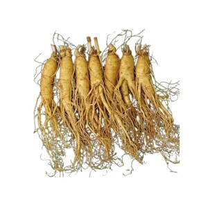 Nhân Sâm Tươi Hàn Quốc 6 củ/kg