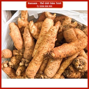 Nhân Sâm Tươi Hàn Quốc 7 củ/kg