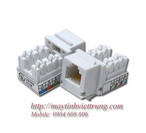 Nhân Wallblate RJ45 AMP