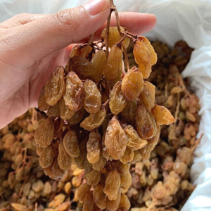 Nho khô nguyên cành Premium Clusters (500g)