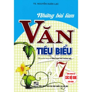 Những bài làm văn tiêu biểu 7