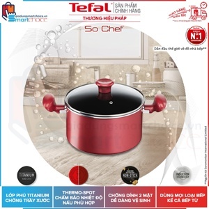 Nồi canh hai quai Tefal So Chef G1354595 22cm