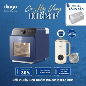 Nồi chiên hơi nước Dingo DSF16