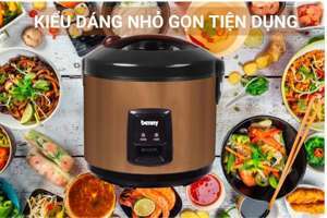 Nồi cơm điện Benny BR-12PVS