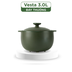 Nồi dưỡng sinh Vesta 3.0L + nắp Healthycook