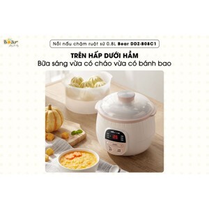 Nồi hầm đa năng Bear DDZ-B08C1