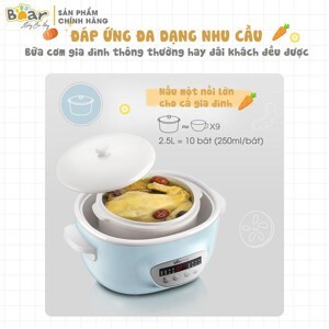 Nồi nấu chậm Bear DDZ-C25E1