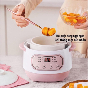 Nồi nấu chậm, chưng yến Seka GT69 đa năng