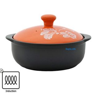 Nồi sứ Royalcooks Ori ihRC-OR2509-O - 2.5 lít