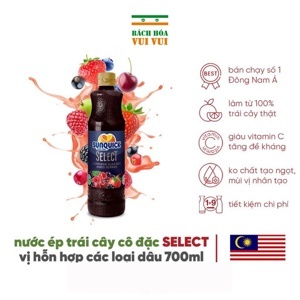 Nước ép cô đặc Sunquick hỗn hợp dâu 840 ml