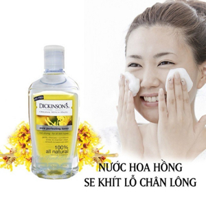 Nước hoa hồng Dickinsons Original Witch Hazel Pore Perfecting Toner 437ml
