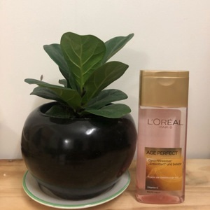 Nước hoa hồng Loreal Age Perfect