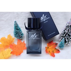 Nước hoa nam Mr Burberry Eau de Toilette 100ml
