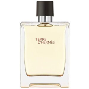 Nước hoa Nam Terre DHermes - 100 ml