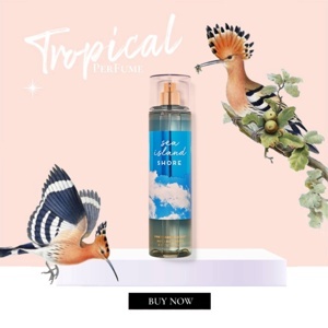 Nước hoa Sea Island Cotton - Body Mist - Bath & Body Works