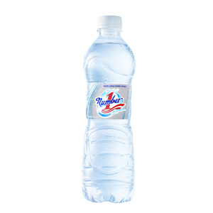 Nước tinh khiết Number one 500ml – Thùng