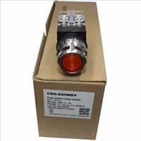 Nút nhấn có đèn Hanyoung CRX-G25MDY