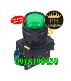 Nút nhấn nhả IDEC YW1L-M2E10QM3G