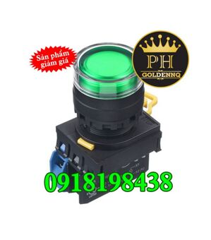 Nút Nhấn Nhả IDEC YW1L-MF2E11QM3G