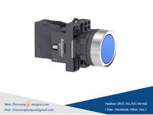 Nút nhấn nhả Schneider XA2EA61