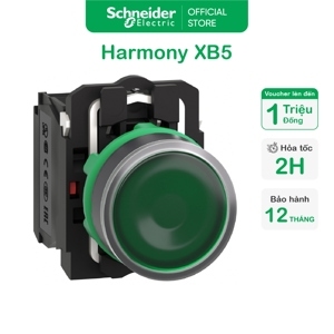 Nút nhấn Schneider XB5AA31