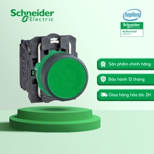 Nút nhấn Schneider XB5AA31