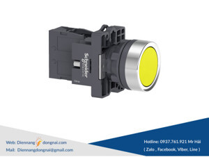 Nút nhấn tự giữ Schneider XA2EH051