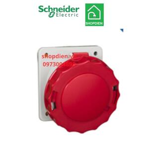 Ổ cắm âm dạng nghiêng Schneider IP67 81282