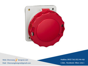 Ổ cắm âm dạng nghiêng Schneider IP67 81282