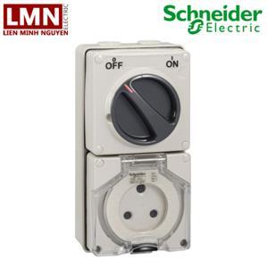 Ổ cắm có công tắc Schneider S56C310GY