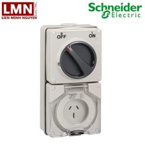 Ổ cắm có công tắc Schneider S56C315GY