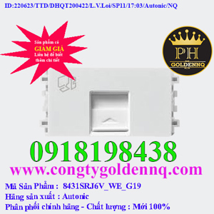 Ổ cắm Data CAT6 Schneider 8431SRJ6V_WE_G19