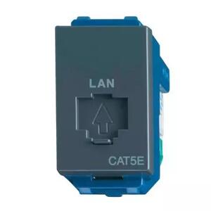 Ổ cắm data WEV2488H-CAT5