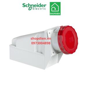 Ổ cắm điện nổi Schneider 81194