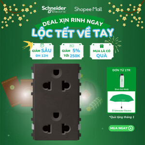 Ổ cắm đôi 3 chấu 16A Schneider 84426LUES2_BZ_G19